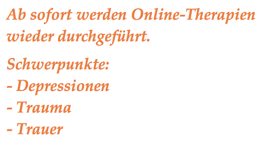 Uzh Psychopathologie Und Klinische Intervention Onlintherapie